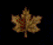  [Maple Leaf] 